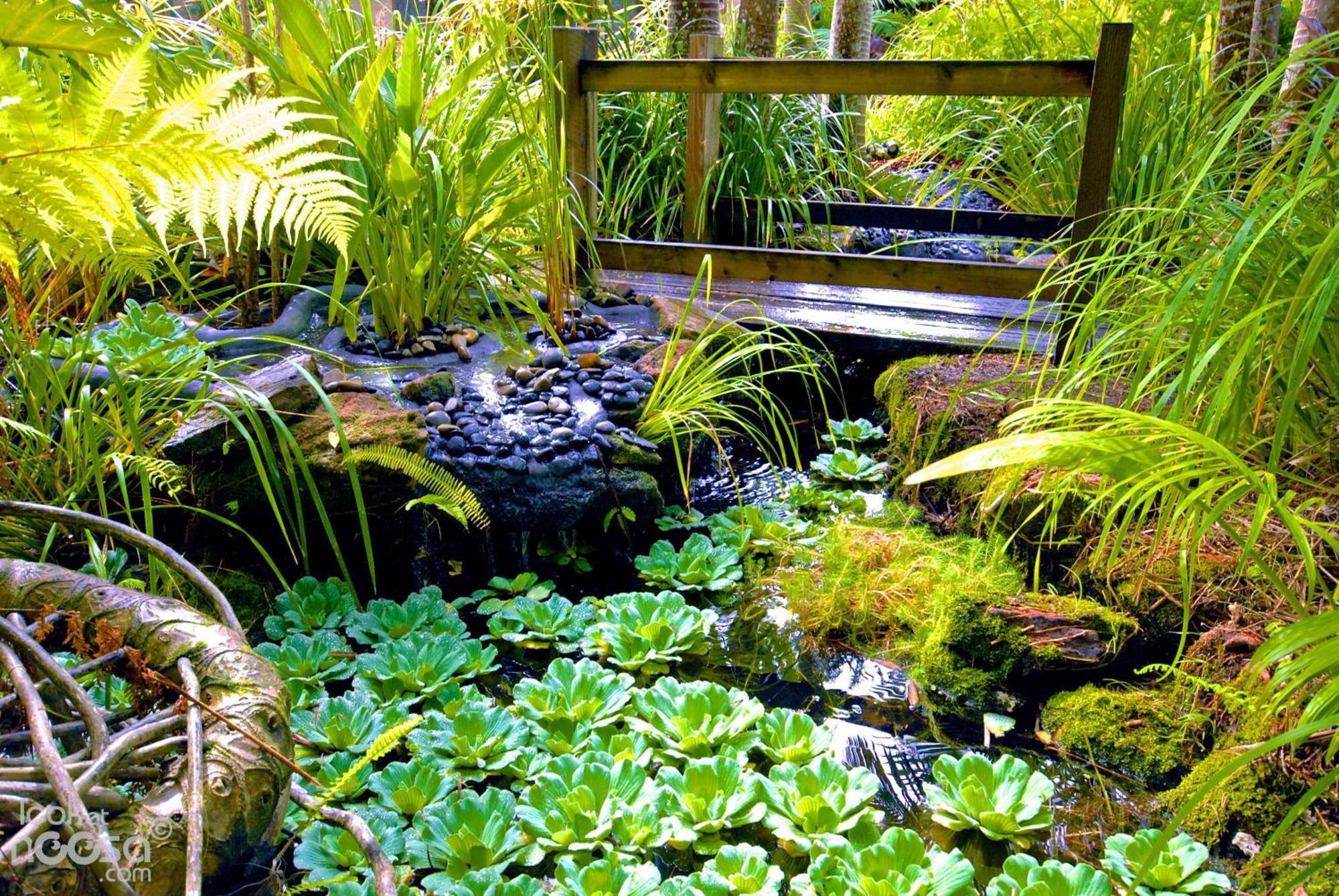 Noosa Village River Resort Нусавил Екстериор снимка